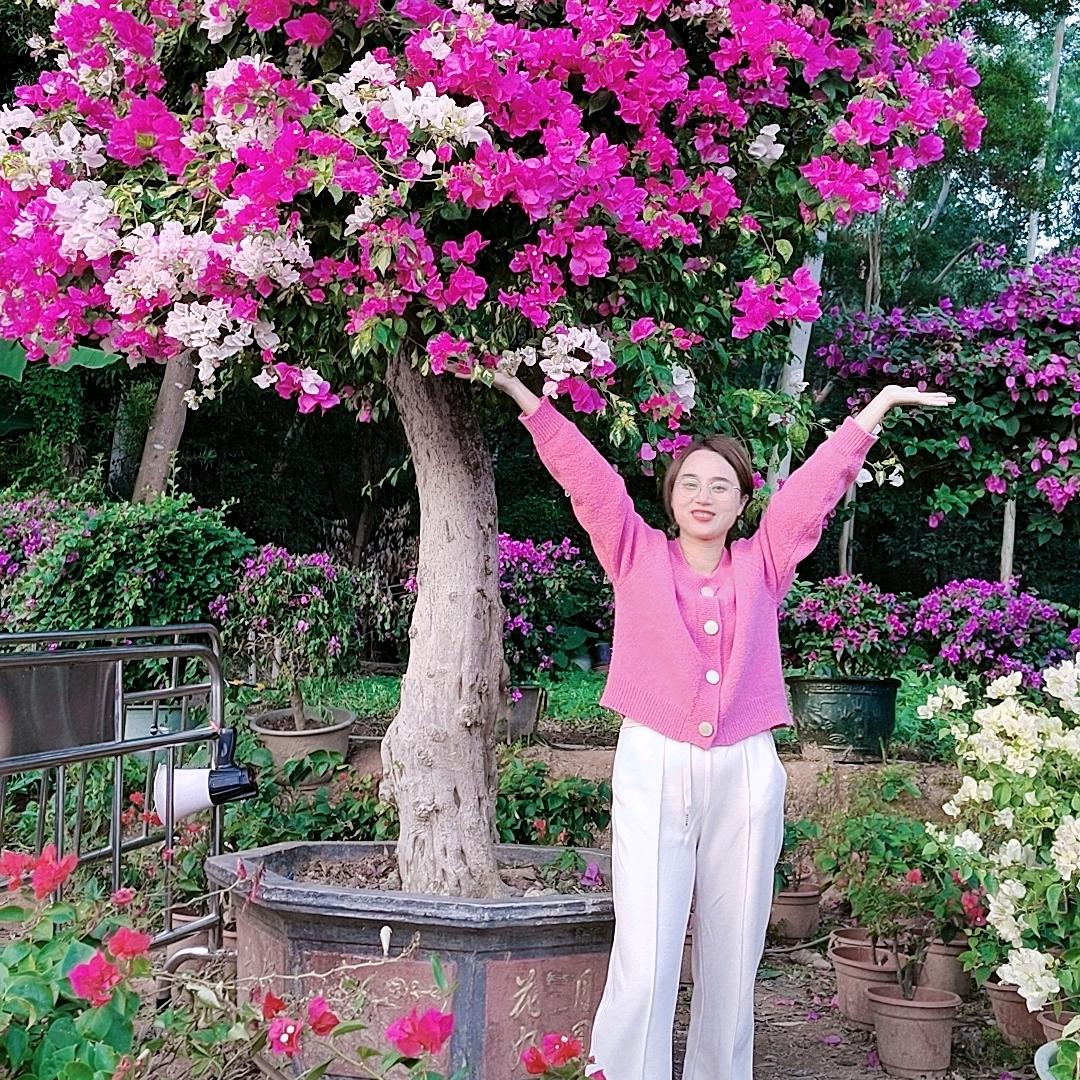 张妮妮
