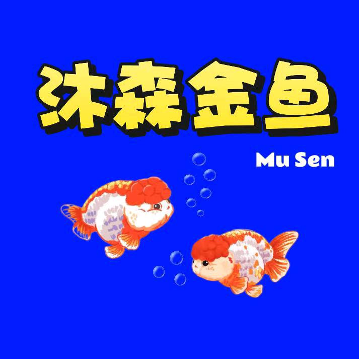 沐森金鱼观赏鱼舍