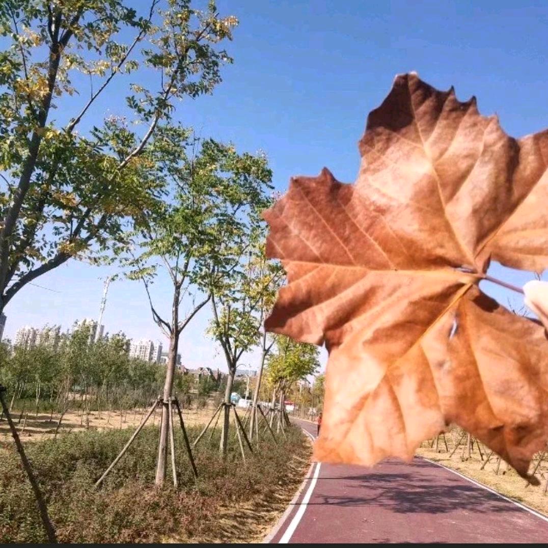 时光静语