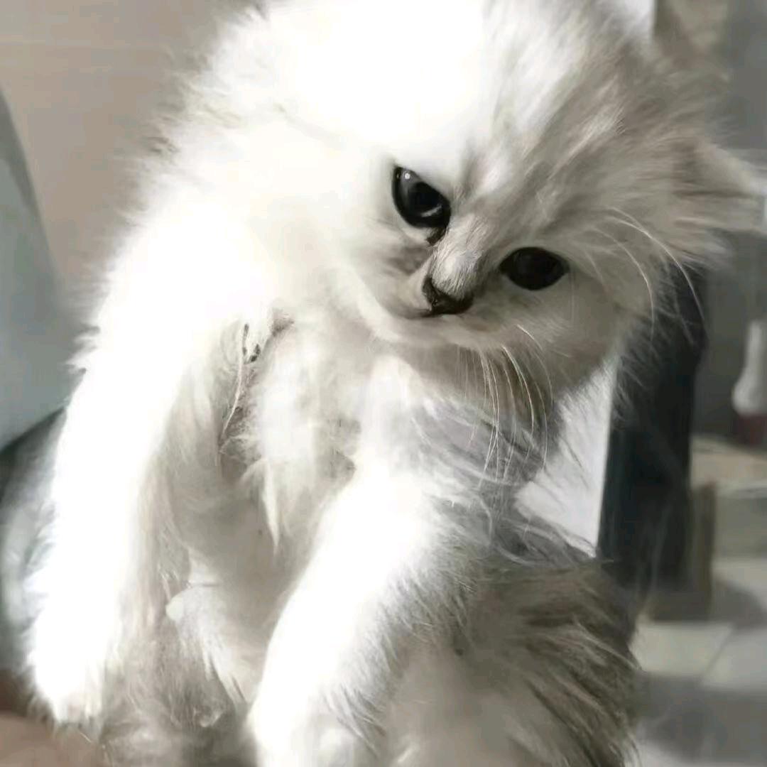 祈安