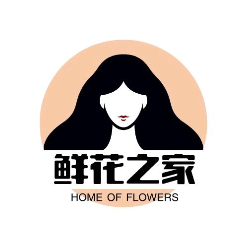 V5佳佳花艺资材