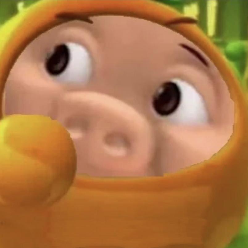 西伯利亚香橙杂交亚特兰蒂斯纯种极品小飞猪