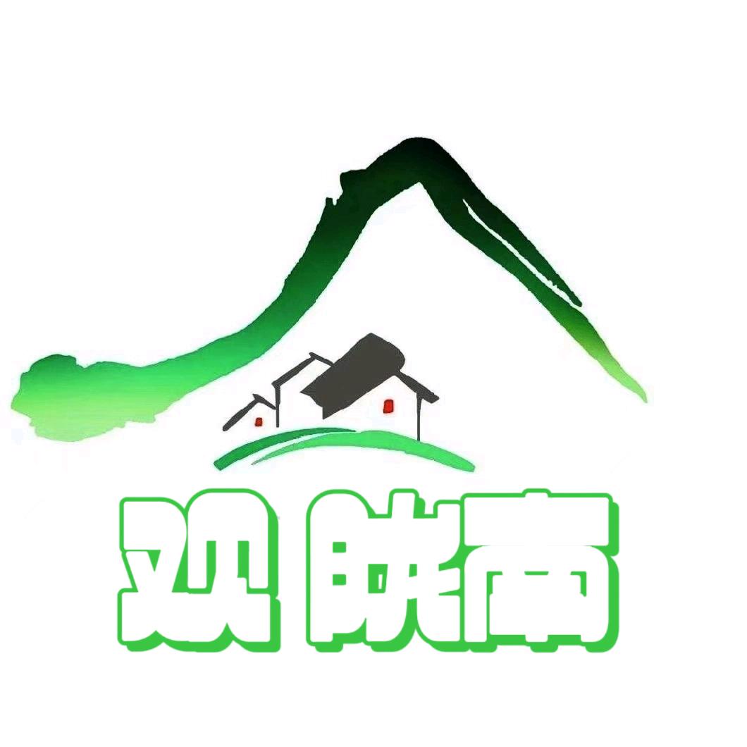 观 陇南