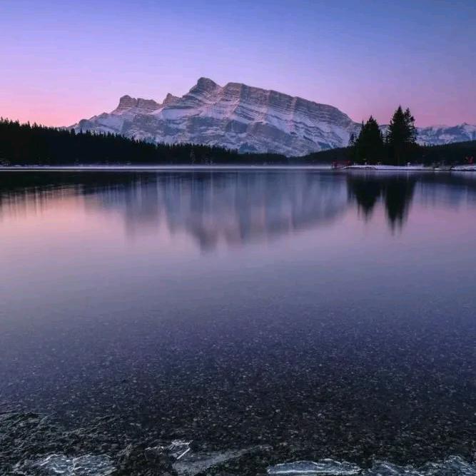 小胖回收报废车♻