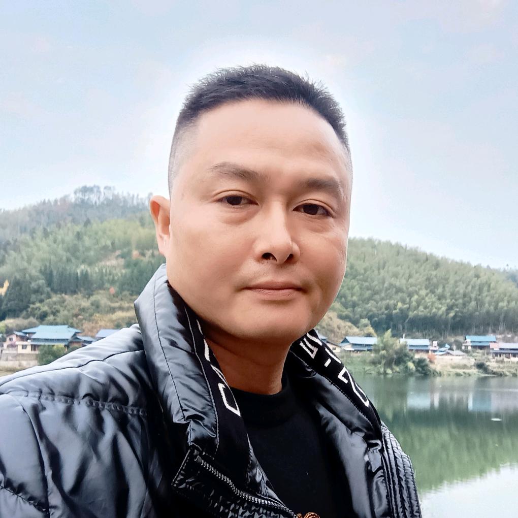杨哥的牛生活