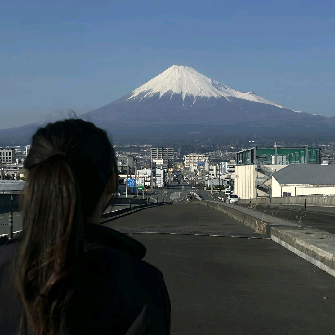 陈见夏