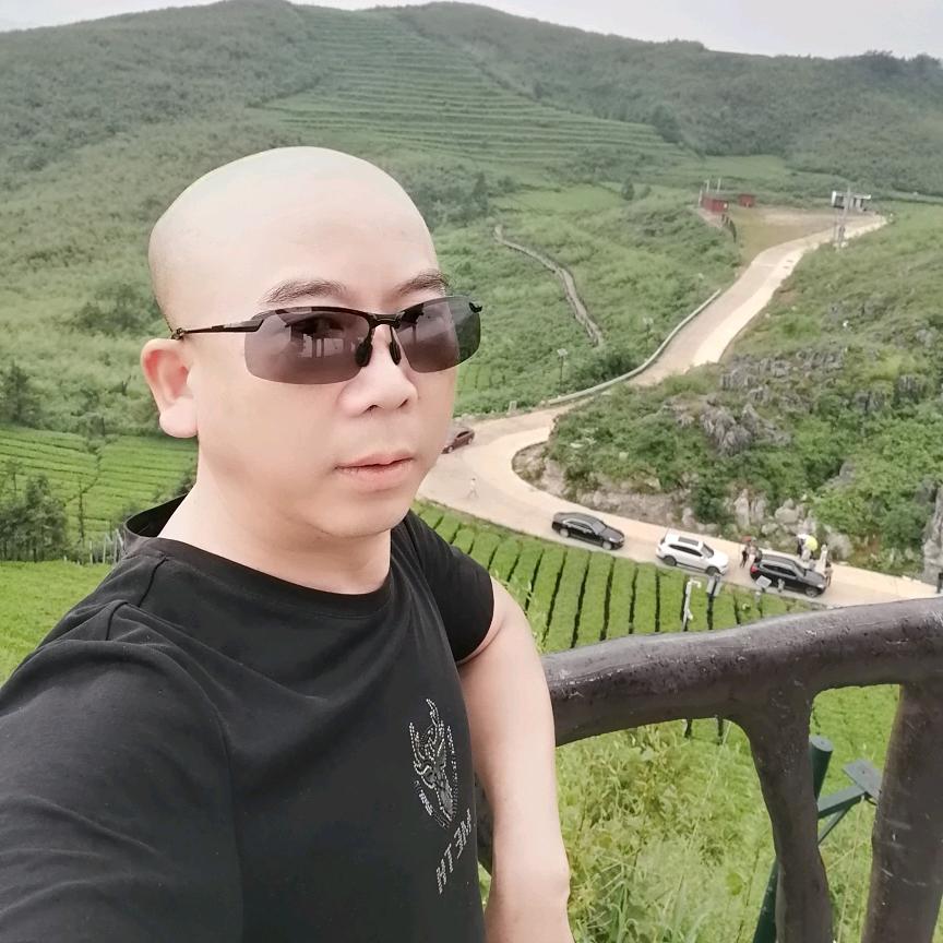 拳打南山猛虎，脚踢北海蛟龙