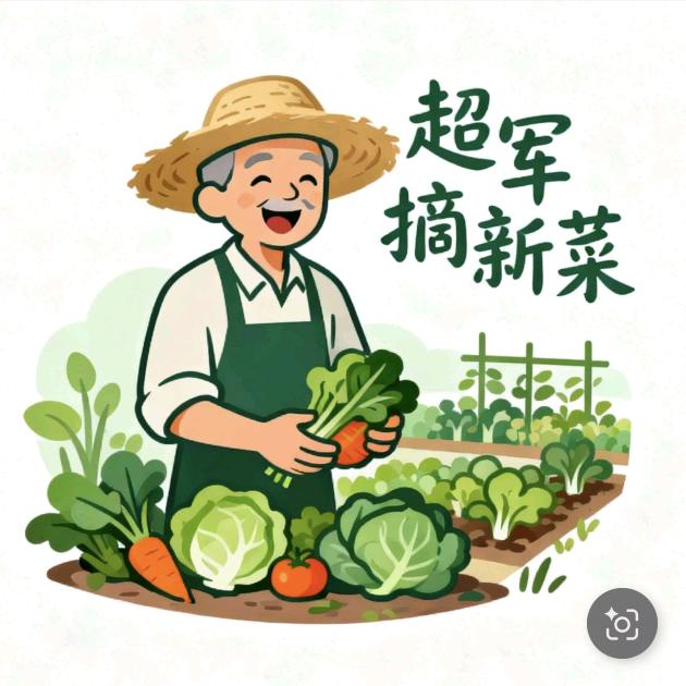 超军带您摘新菜