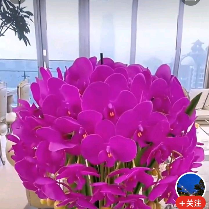 灿灿