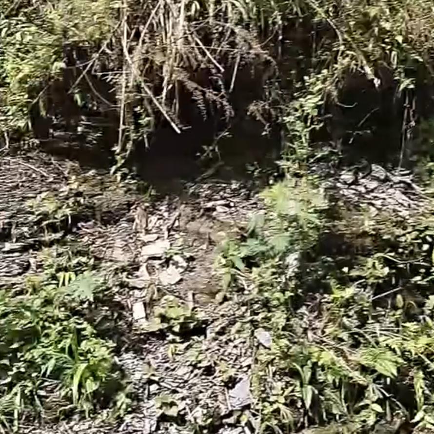 小兰