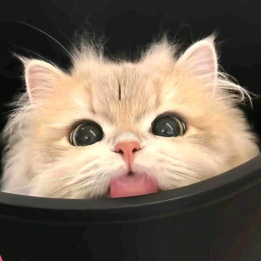 忧郁总裁兜不住屎被护工吊打