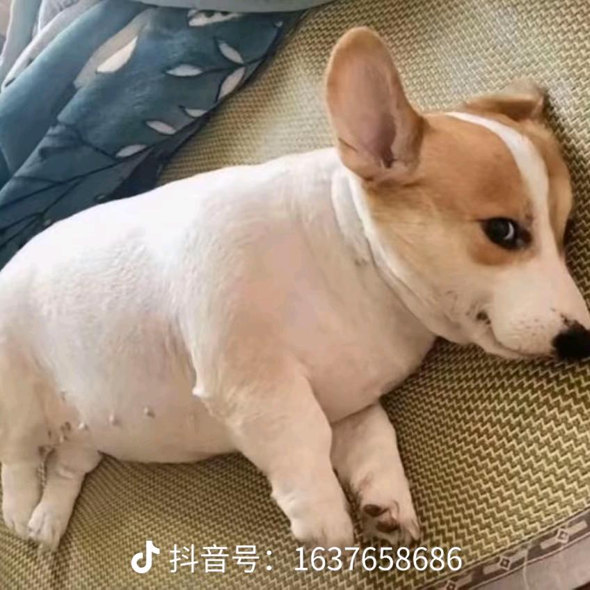 w。