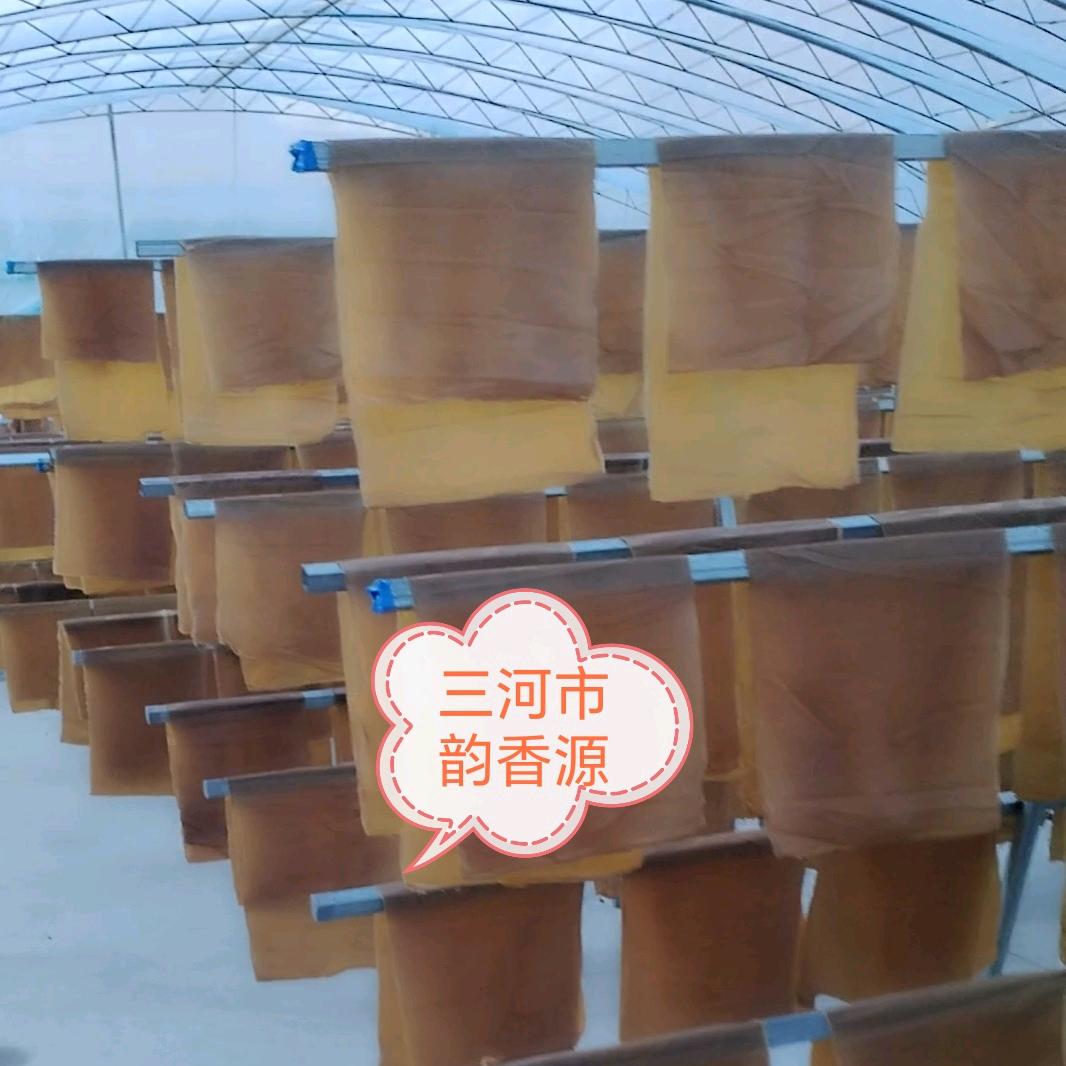 韵香源豆制品厂