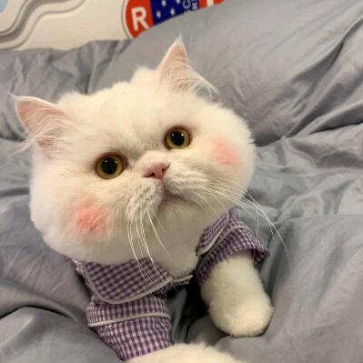 骑着蜗牛🐌去旅行