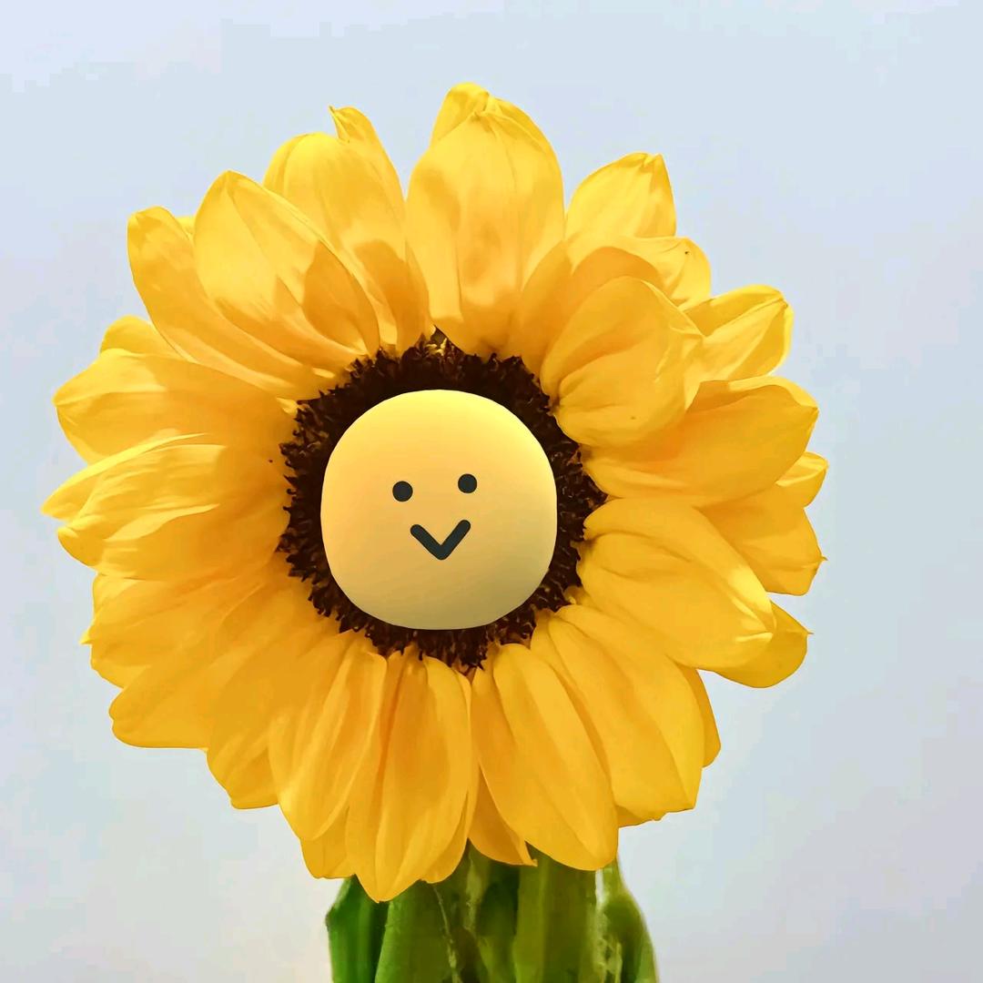 简单爱❤