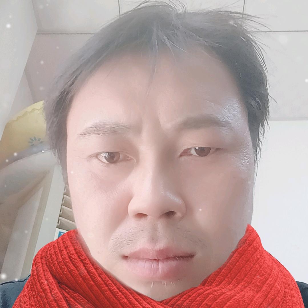 可爱的小猪猪