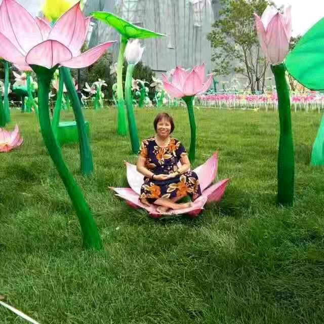 仙婆婆万木香