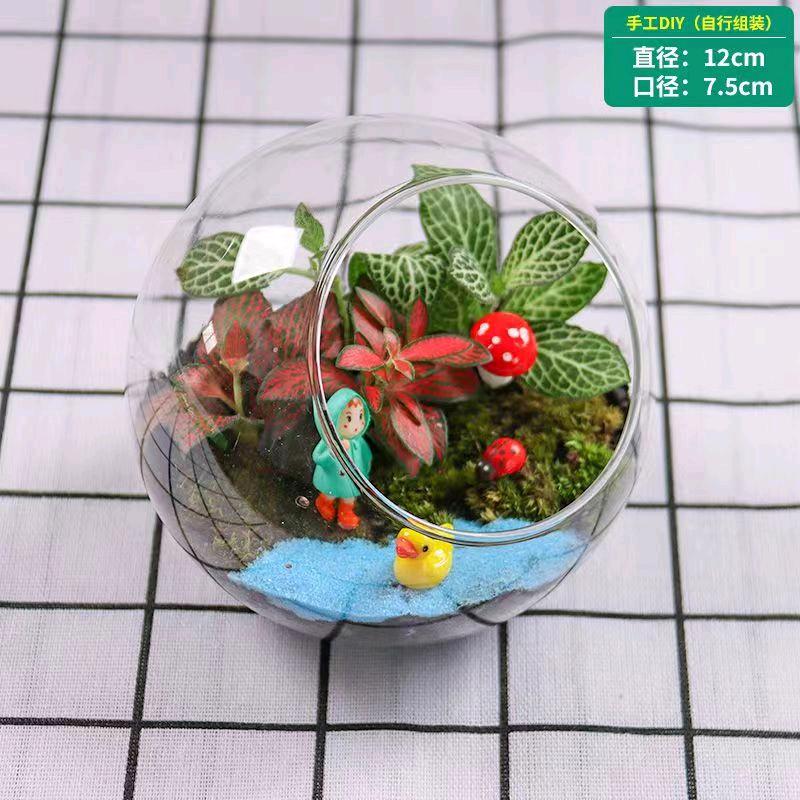闭月羞花花卉小店
