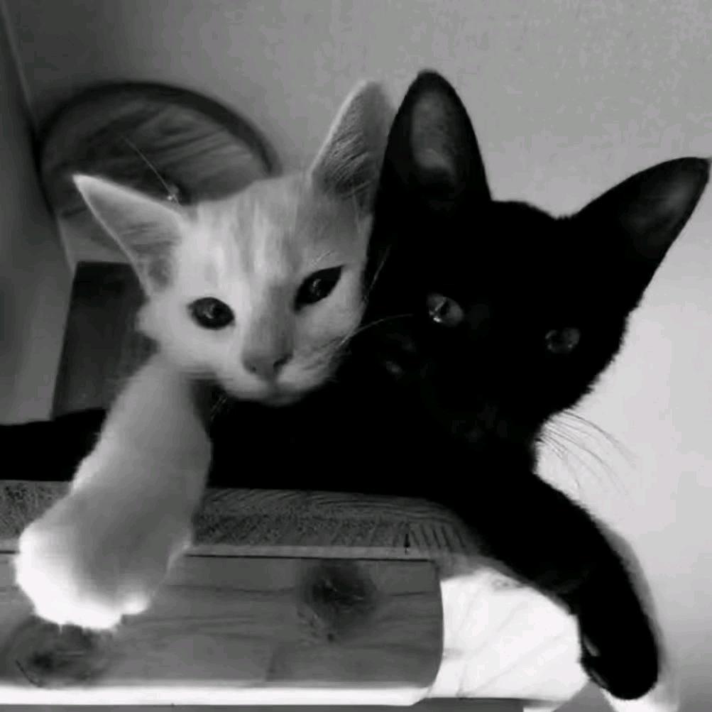 万语难尽涩于口