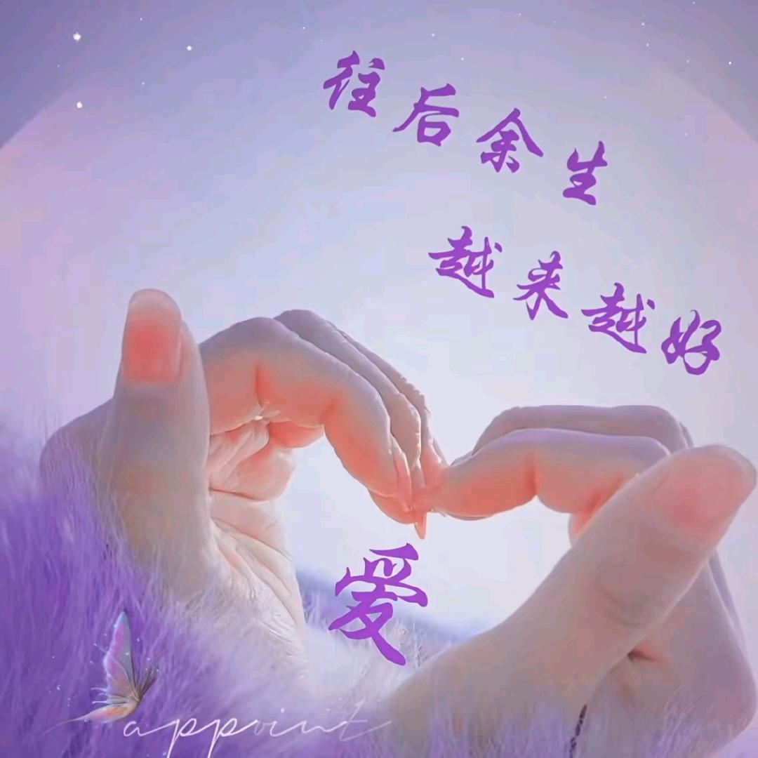 最熟悉的陌生人