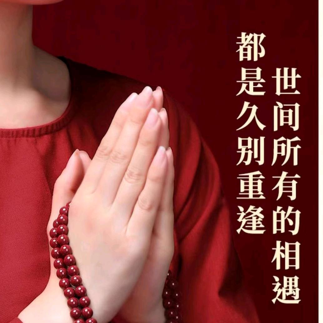 朱朱姐的九花十木