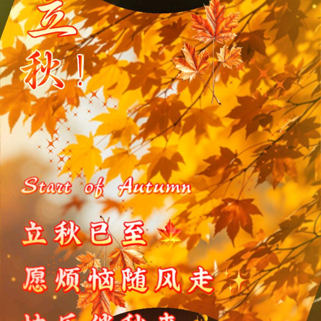 今生有你