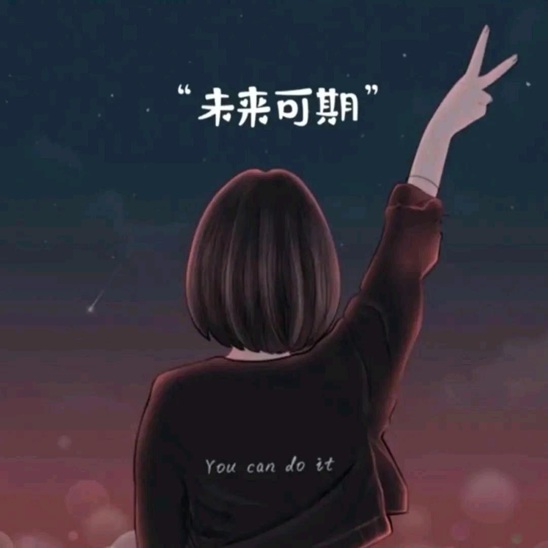 紫猫说