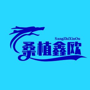 桑植鑫欧百货店