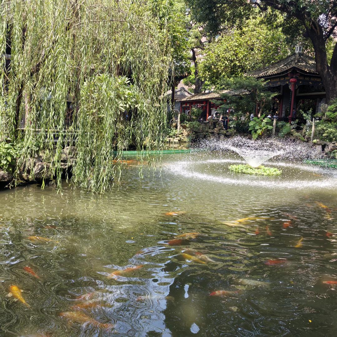 *杨花落尽子规啼