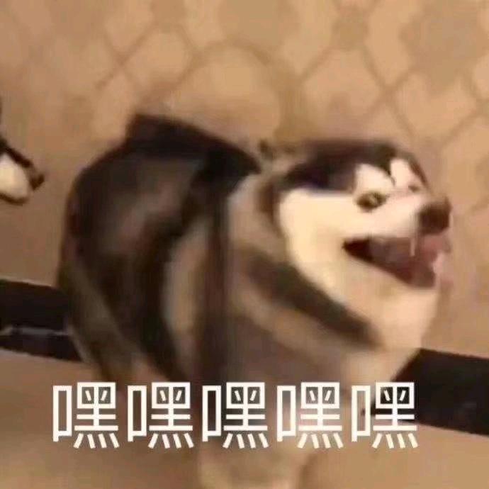 五十怎么还没到？