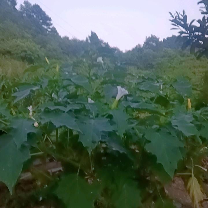 用户3274054647504王启江