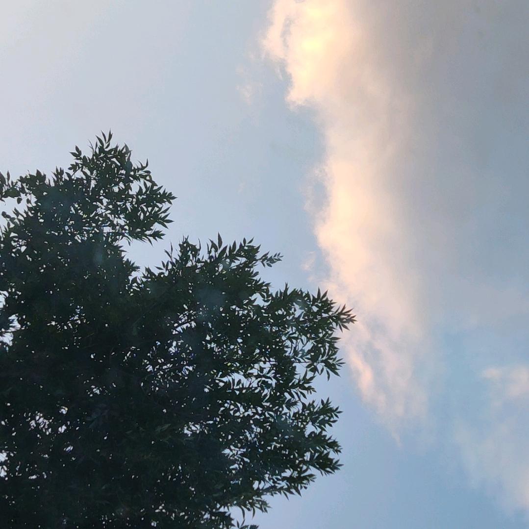 秋风有点凉