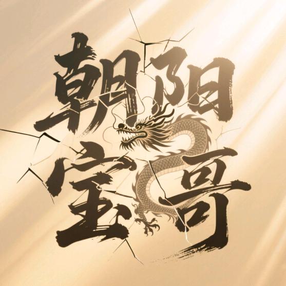 宝哥