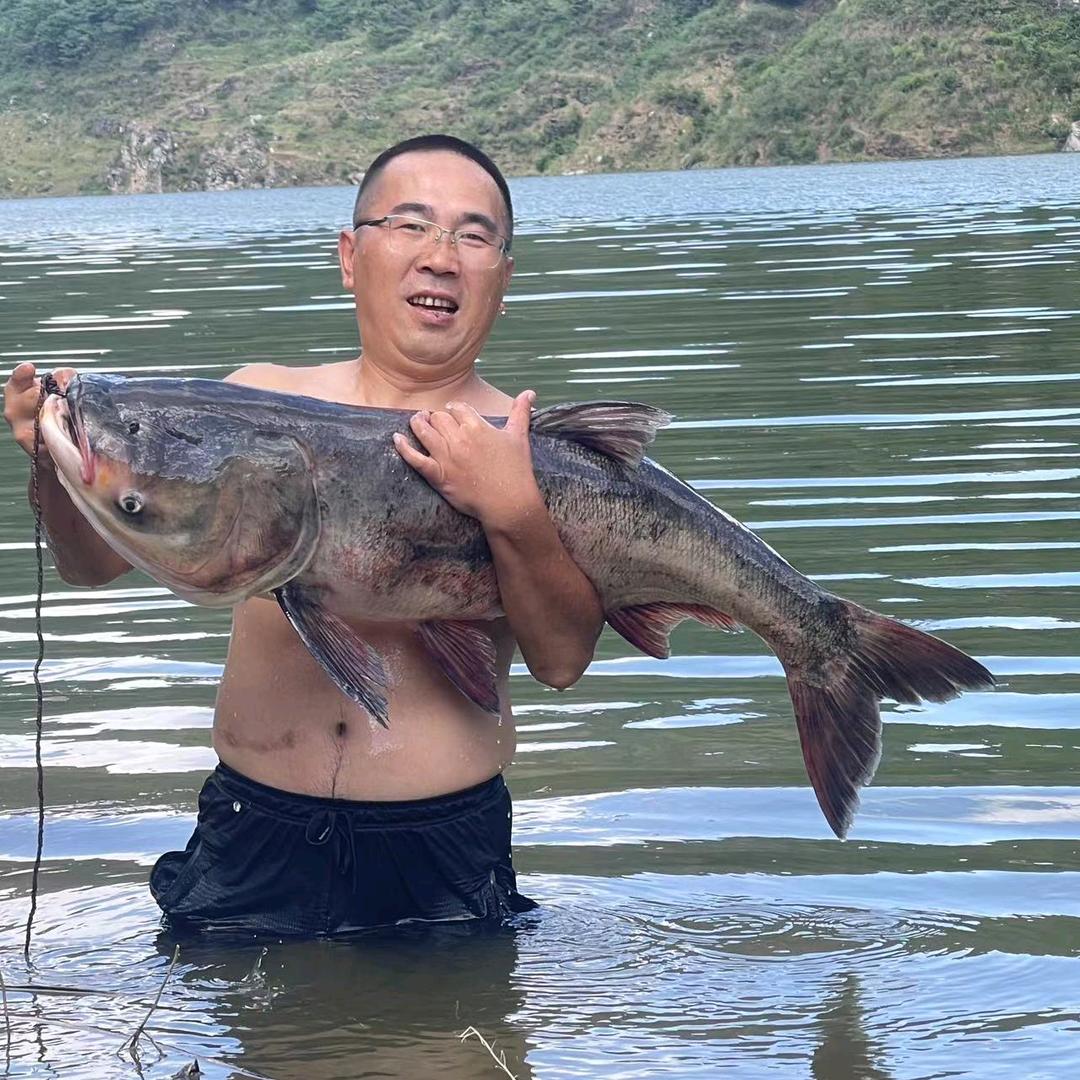 伍码