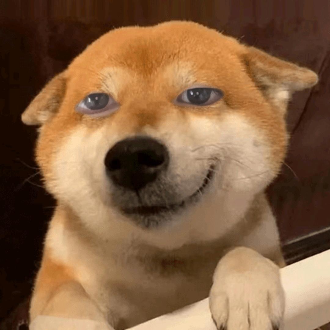刍狗