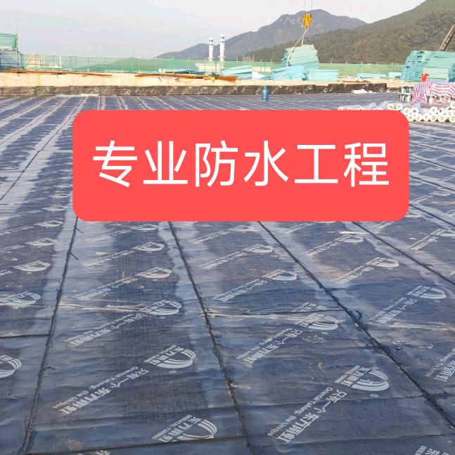 刚仔～防水