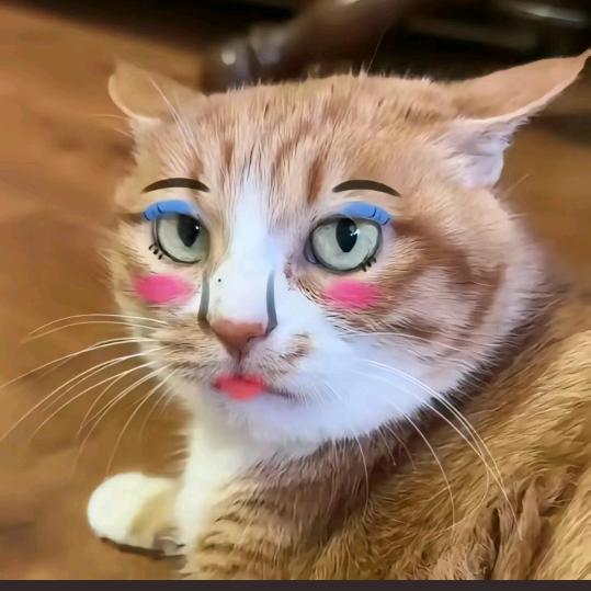 我真的不爱玩抽象