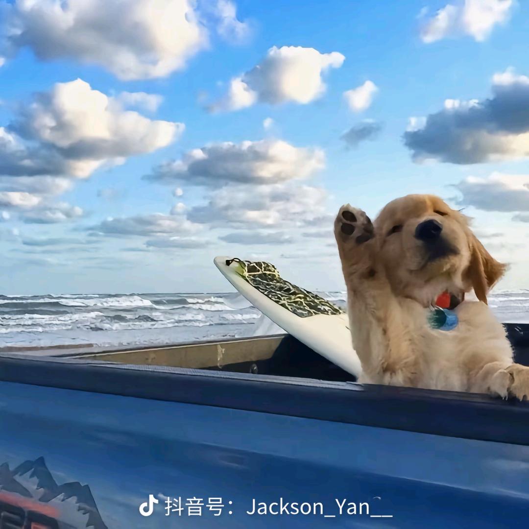 热乎黏苞米