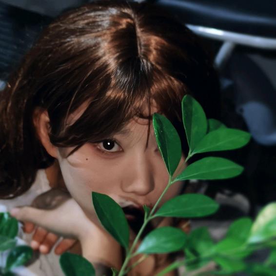 憨嘻子🦋