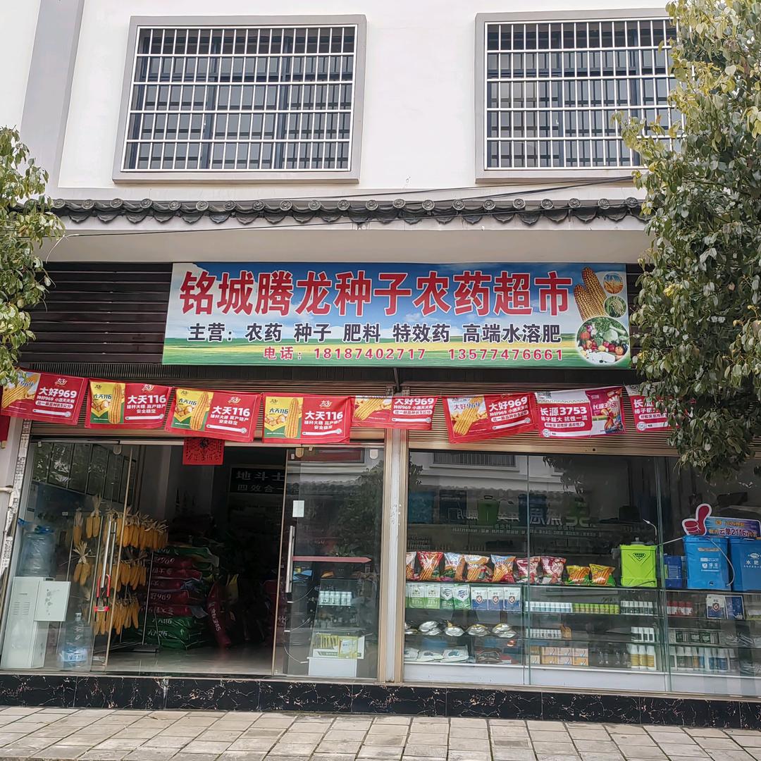 龙海铭城种子 《小翟》