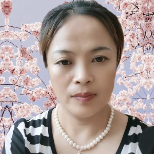 云沐臻品