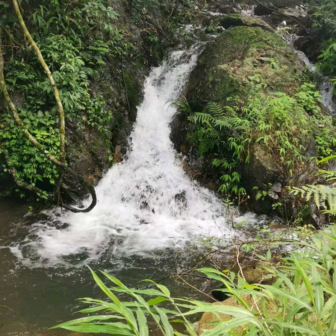 粮辰吉食到您家