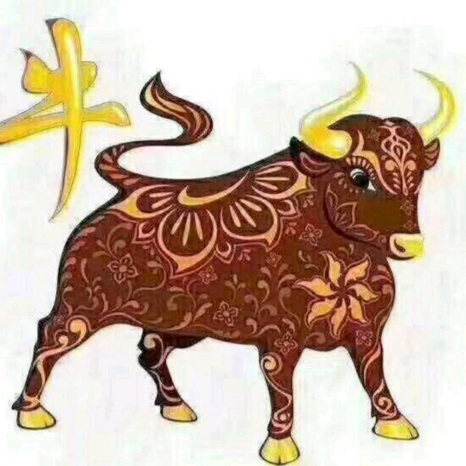 爱你不后悔🇨🇳