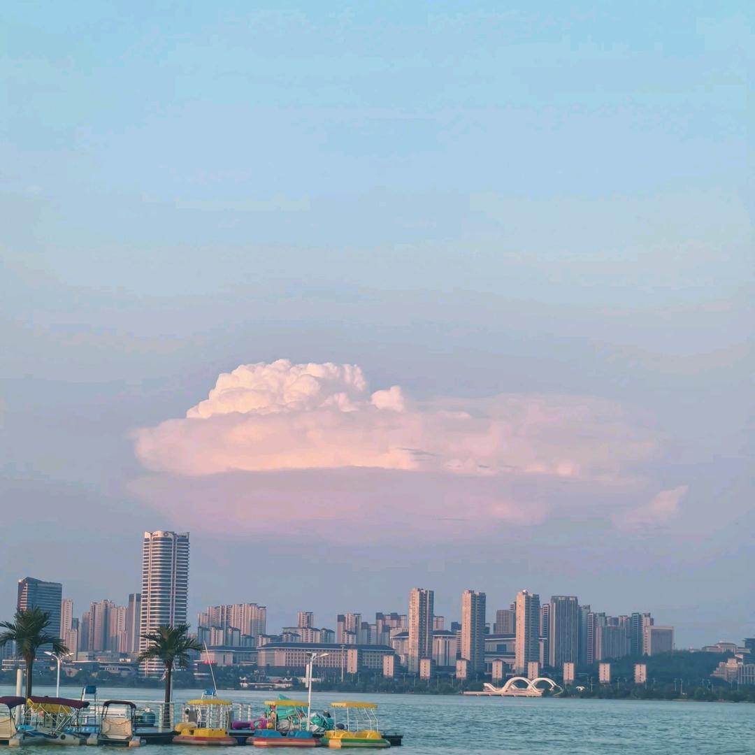 阳光正好
