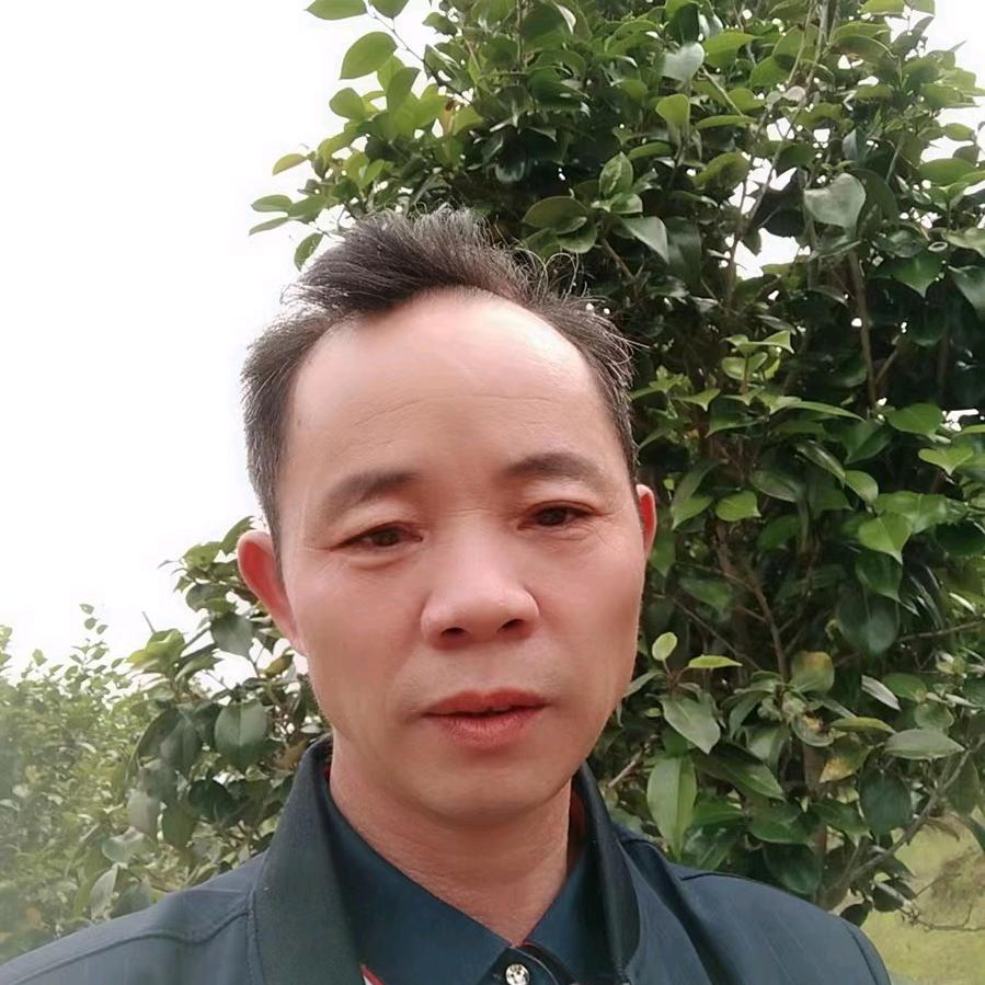 歌在飞