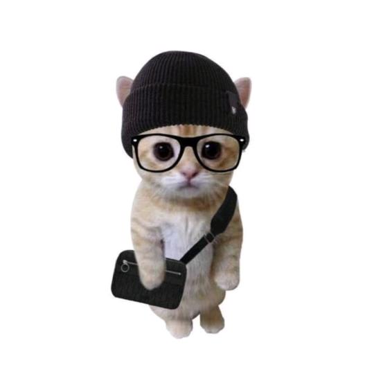 没招了的老实农村人