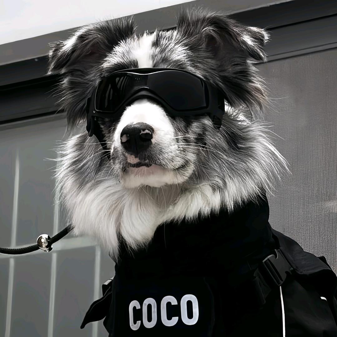 支昂張（机车租赁）