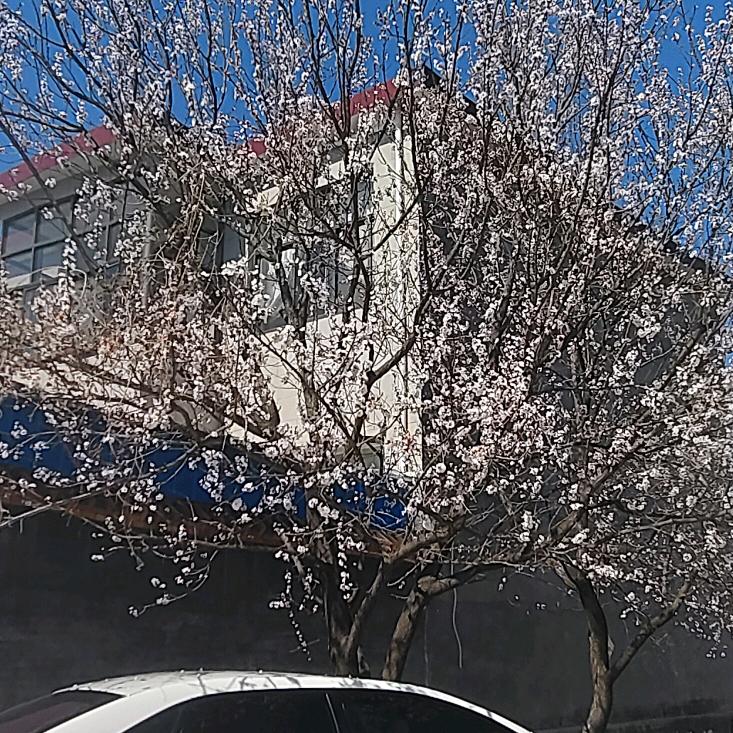 及时行乐