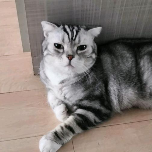 清风