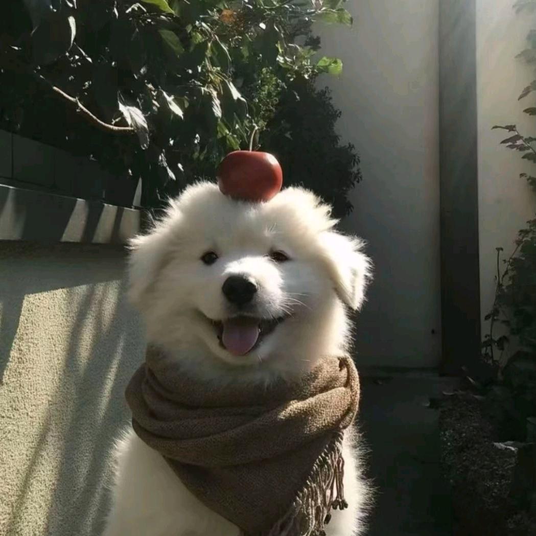LLL.